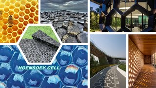 The Power of Hexagons Nature Inspired Design of HOENSOEY Cells | Innovative Geocellular Modules