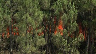 Wildfires trap 2,000 villagers in Portugal