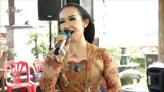 GUYON MATON || MBOK'E GANDEN VS KINCER || AREVA MUSIC || SHIFA JAYA SOUND SYSTEM || SETIA HD