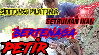 SETTING PLATINA SETRUM IKAN YANG AMPUHH DAN BERTENAGA PETIR