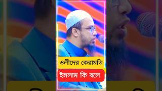 অলি আউলিয়া সম্পর্কে কুরআন কি বলে? ওলীদের কারামত বা অলৌকিক ক্ষমতা সত্য? শায়খ আহমাদুল্লাহ ওয়াজ