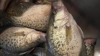 Ice fishing  (Christmas day)