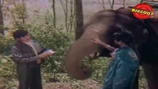 Vellathilezhuthiya | Malayalam Movie Songs | Avano Atho Avalo (1979)