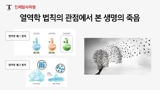 열역학 법칙의 관점에서 본 생명의 죽음 - 열역학 제 1 법칙 에너지 보존 법칙, 열역학 제 2 법칙 엔트로피 증가 법칙