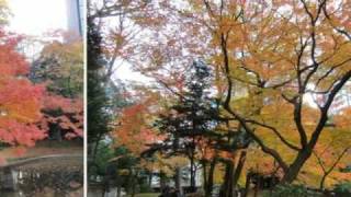 小石川後楽園の紅葉３