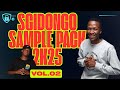 SGIDONGO SAMPLE PACK 2K25 VOL.2 || AMAPIANO