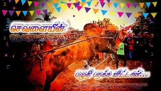 Jallikattu  Magudanchavadi Eruthattam, #jallikattu #kaangayamkaalai #vaadivadal#msk7#salem#festival