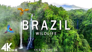 Brazil In 4k - Beautiful Tropical Country | Scenic Relaxation Film with Calming Music