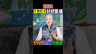 2024년 66세 돼지띠분들의 신년운세는!?🐷🤔인연줄이 자꾸 들어온다!?😲😄