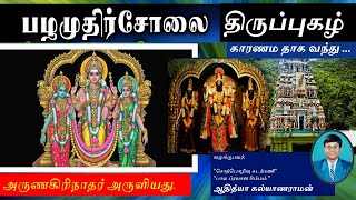 வாழ்வில் சகல நன்மையையும் தரும் | பழமுதிர்சோலை திருப்புகழ் |காரணம தாக வந்து..|அருணகிரிநாதர் அருளியது.