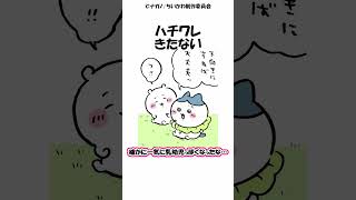 【ちいかわ】ハチワレ、きたない【ちいかわ解説05010】ちいかわ最新話