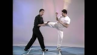 Sample kick counters by Sifu Al Dacascos