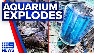 Huge Berlin aquarium bursts, releases flood of 1400 fish and flying glass | 9 News Australia