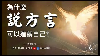 為什麼說方言可以造就自己?   Ep 01 因為我們的靈人現在 在說神在萬世以前預定使我們得榮耀的秘密。8PM  2023 06 10超乎一切線上教會 主日崇拜 張志雄牧師