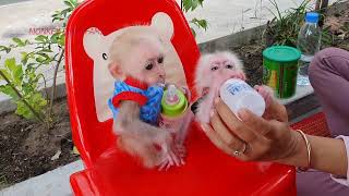 BaBy dydy drink milk with Luu yi