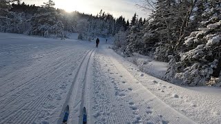 XC ski trondheim (Saupstad, Skistua, Granåsen)