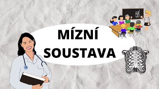 MÍZNÍ ( LYMFATICKÁ ) SOUSTAVA - Základní shrnutí