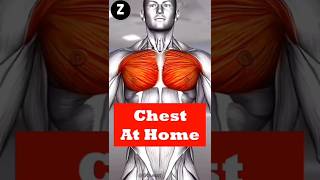 CHEST WORKOUT HOME ROUTINE BODY WEIGHT EXERCISES | ZAMFITNESS
