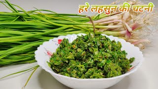 किसी भी खाने का स्वाद दोगुना कर देगी यह हरे लहसुन की चटनी | Spicy Green Garlic Chutney Recipe