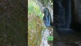 Cascata a Roccamandolfi, con questo breve video, auguro a tutti buongiorno. Giuseppe Marasco