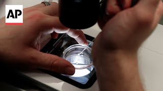 How does IVF work? Here's what to know about the process