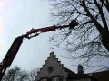 Tree Cutting in Sweden | Bohmer's Tree Care