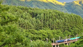 JR貨物EF64 1034号機(国鉄色)1011号機(大宮更新色)重連  中央西線石油貨物列車5875ﾚ 2019.7.26 撮影