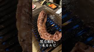 和牛食べ放題「肉屋の台所」🐃#shorts