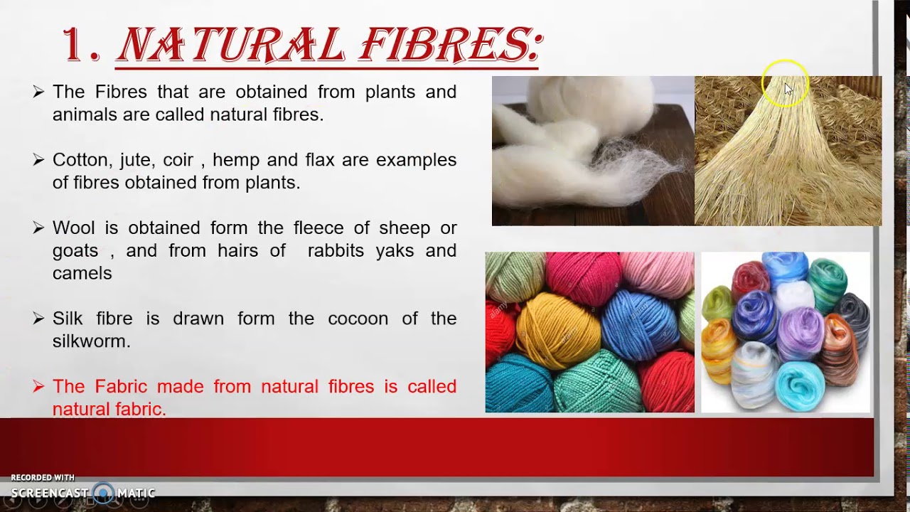 Class 6th Science Fiber To Fabric Part 1 - YouTube