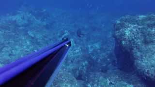 ΚΕΦΑΛΟΝΙΑ-KEFALONIA SPEARFISHING 8/2014