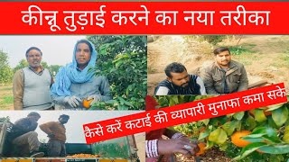 अबोहर कीन्नू मंडी।🍊अबोहर फ्रूट सब्जी मंडी।#fruit #viralvideo#trending #vijaynokhwal #shorts #labour