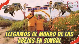 ACOMPÁÑAME EN MI VISITA AL MUNDO DE LAS ABEJAS EN #simbal #lalibertad