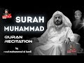 surah muhammad-Quran Recitation-by raad mohammad al kurdi #kurd4_islam