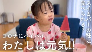 【発熱なし】家族がコロナ感染するもダウン症娘は1人だけ元気でした／スイカバーの種は食べられる？