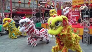 神戸 南京町 2020春節祭　 獅子舞 [ 後半 ] 　 神港橘高校 龍獅團