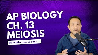 AP Biology: Chapter 13 - Meiosis and the Sexual Life Cycle Reviewed