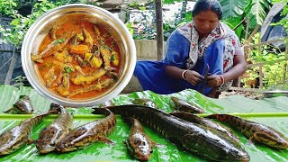 শোল টাকি মাছের এই রান্না একবার খেলে মন ভরে যাবে || Fish curry || Village Food Lover