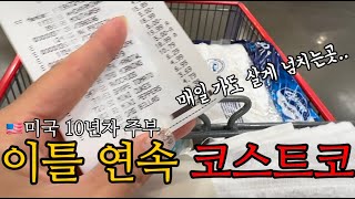 🇺🇸이틀 연속 코스트코 장보는 미국 10년차 주부 costco | 오랜만에 울타리몰 언박싱 | 미국 삼겹살은...? | 미국에서 한식 먹고 싶을땐?