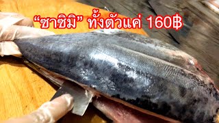 ซาซิมิปลาโอ  (さしみ) มากุโร่ไทยแท้ 160฿ตัวใหญ่เวอร์ Thai Shasemi Only 160฿