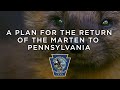 A Plan for the Return of the Marten to Pennsylvania