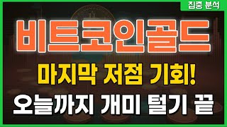 [ 비트코인골드 ] 마지막 저점 기회! 오늘까지 개미털기 끝!! #비트코인골드 #비트코인골드분석