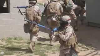 Marines Conduct Squad Tactics Exercise