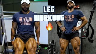 THE PERFECT LEG WORKOUT TO BUILD BIG LEGS | Vol 2.0