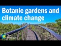 The growing and vital role of botanical gardens in climate change research