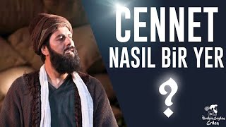 CENNET SONSUZ MU ? | ORADA NELER VAR ? | MERAK ETTİKLERİMİZ