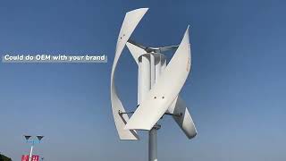 2000w Vertical Axis Wind Turbine 48v Alternative Energy Generator 220v AC Output Household Complete