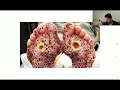 curing trypophobia warning gross