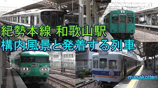 紀勢本線 和歌山駅を発着する電車（105系、117系、223系、225系、287系、和歌山電鐡）と昔の貨物列車の写真　2016年5月22日撮影