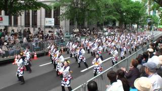 バサラ瑞浪　～2012YOSAKOIソーラン祭り(一次審査会場)