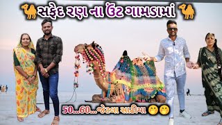 ||🐪સફેદ રણ ના ઉંટ ગામડામાં 🐪||50.60.જેટલા સાઢીયા (safed ran na unt gamda ma) @RahulSonalVlogs-f3c